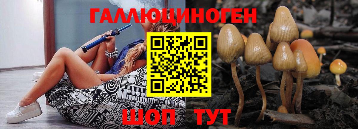 Дзержинский  Галлюциногенные грибы MAGIC MUSHROOMS  Вход с VPN 